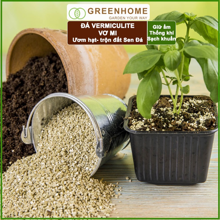 Đá Vermiculite (Vơ Mi) Greenhome, Bao 500gr, Giá Thể, Ươm Hạt Giống, Trồng Rau Mầm, Đất Hoa Hồng, Sen Đá, Thuỷ Canh