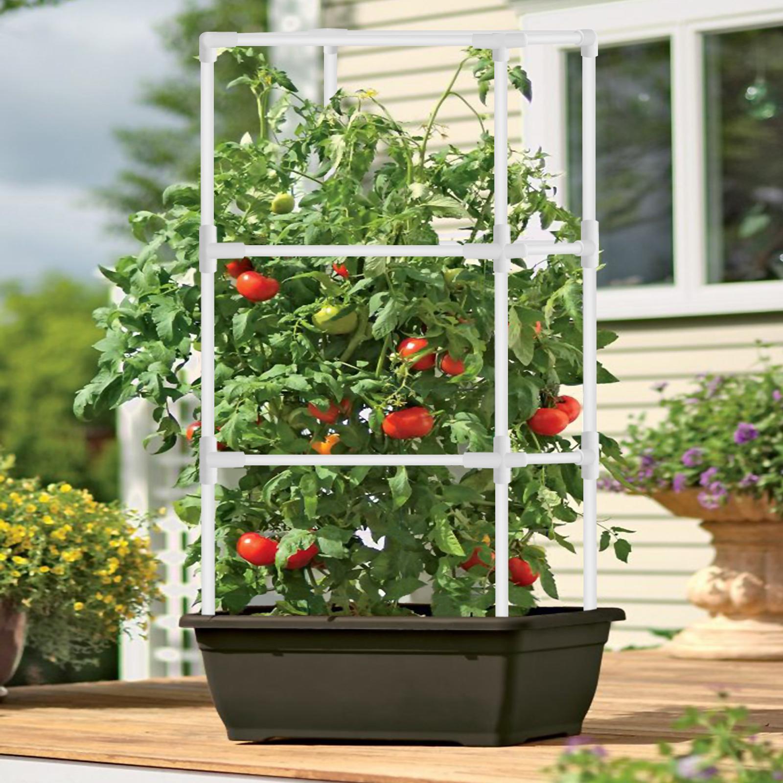 Kệ trồng cà chua 16 inch hỗ trợ dây leo ra hoa quả nhỏ