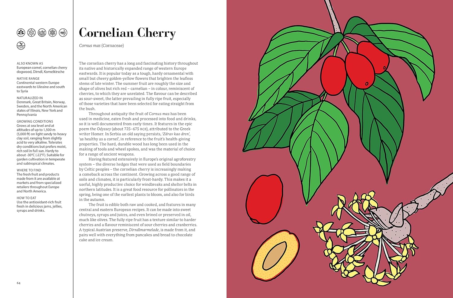 Edible : 70 Sustainable Plants That Are Changing How We Eat