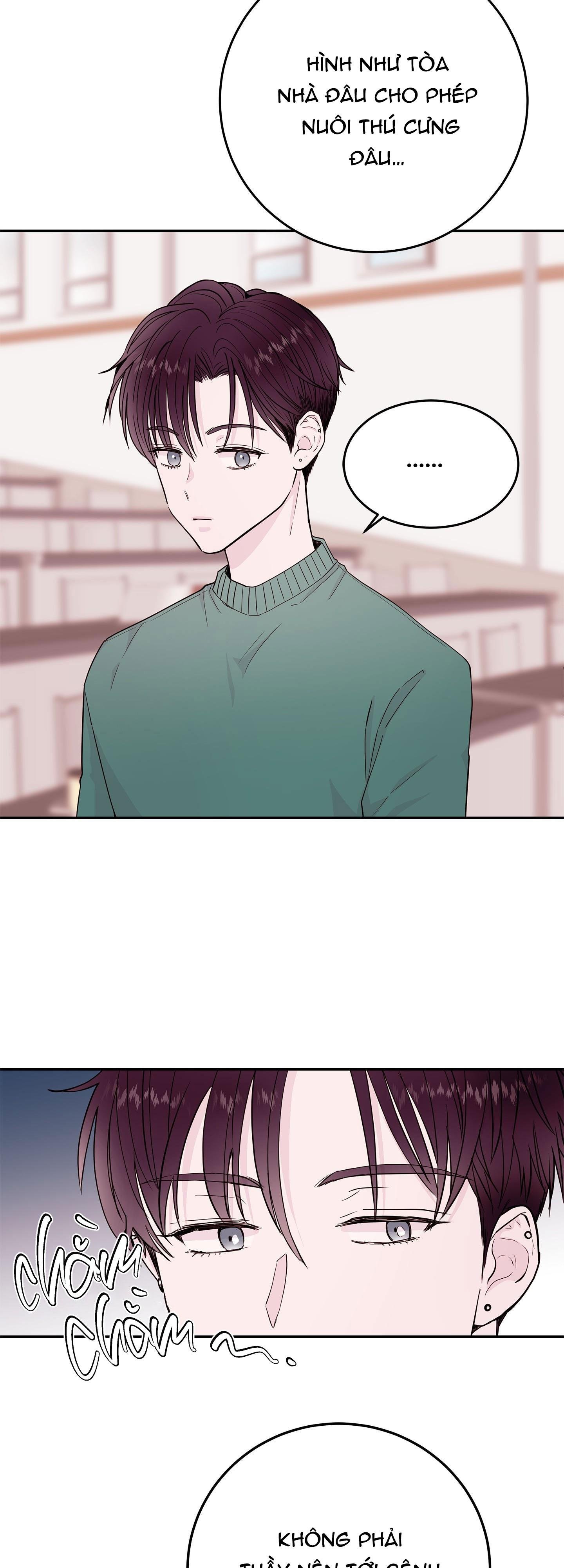 em trai vợ thật nguy hiểm chapter 36 9