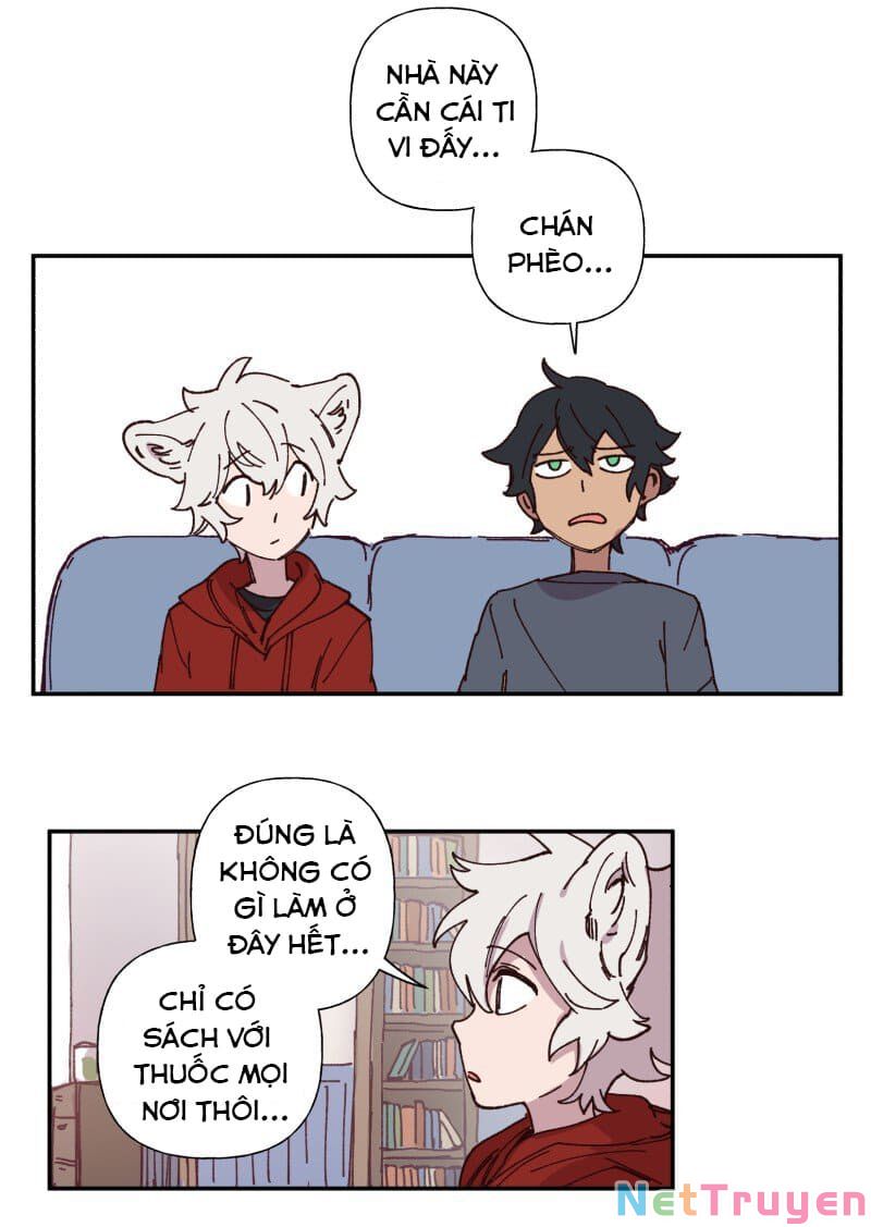 lumine - cội nguồn ánh sáng chapter 87 10