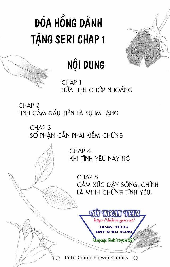đóa hồng dành tặng seri chapter 1 3