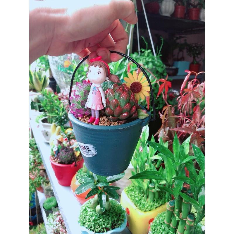 Chậu Kim Cương Tiểu Cảnh