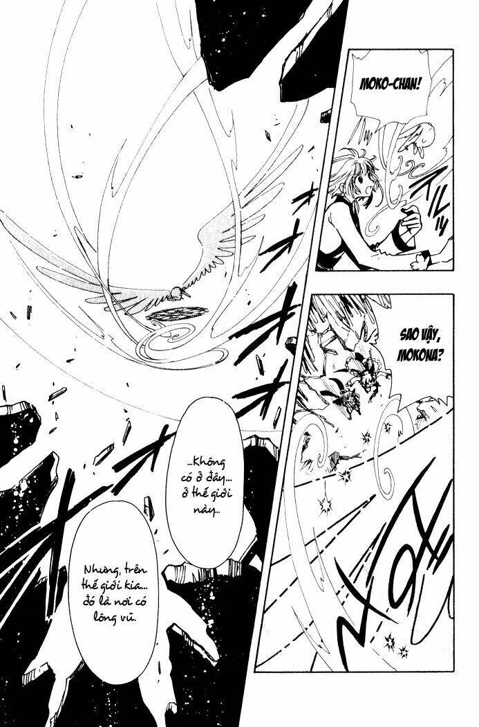 huyền thoại đôi cánh chapter 58 17