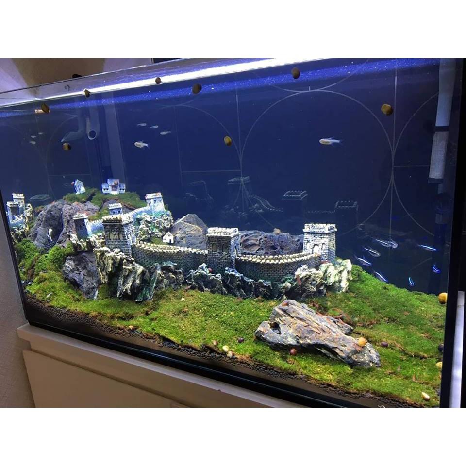 VẠN LÝ TRƯỜNG THÀNH 21cm