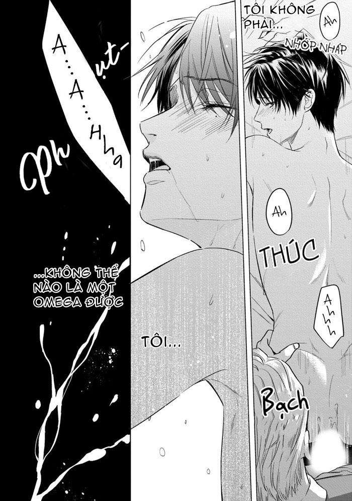 cô dâu của alpha chapter 1 3