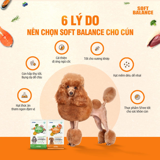 [ 100g ] - Thức ăn hạt mềm cho chó mọi lứa tuổi vị cá hồi SOFT BALANCE