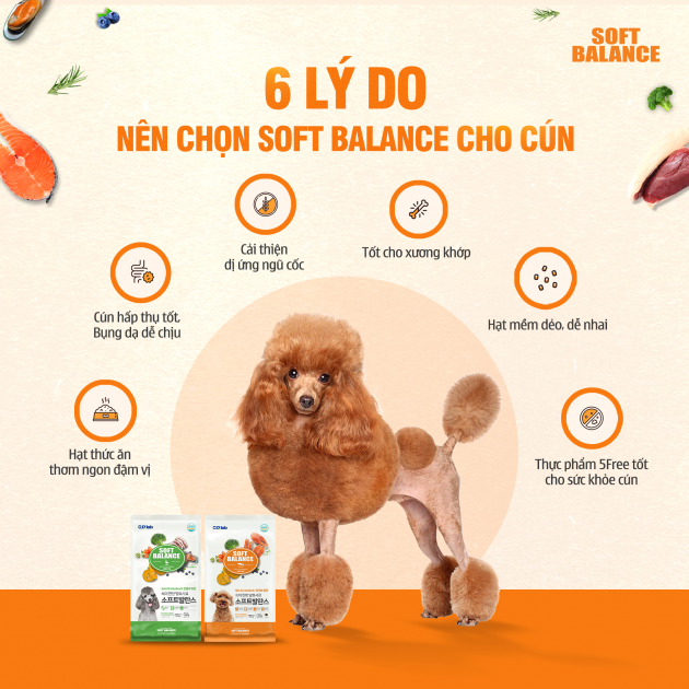 HẠT MỀM SOFT BALANCE TỐT CHO XƯƠNG KHỚP VÀ ĐƯỜNG RUỘT DÀNH CHO CHÓ MỌI LỨA TUỔI