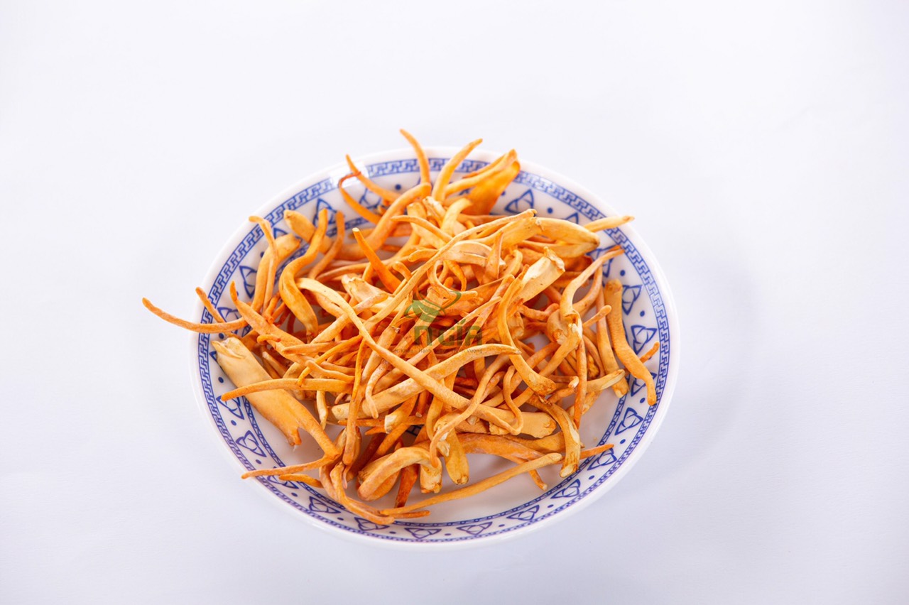 [HỘP 100G GÃY TIẾT KIỆM] NẤM ĐÔNG TRÙNG HẠ THẢO AN GIA SẤY THĂNG HOA