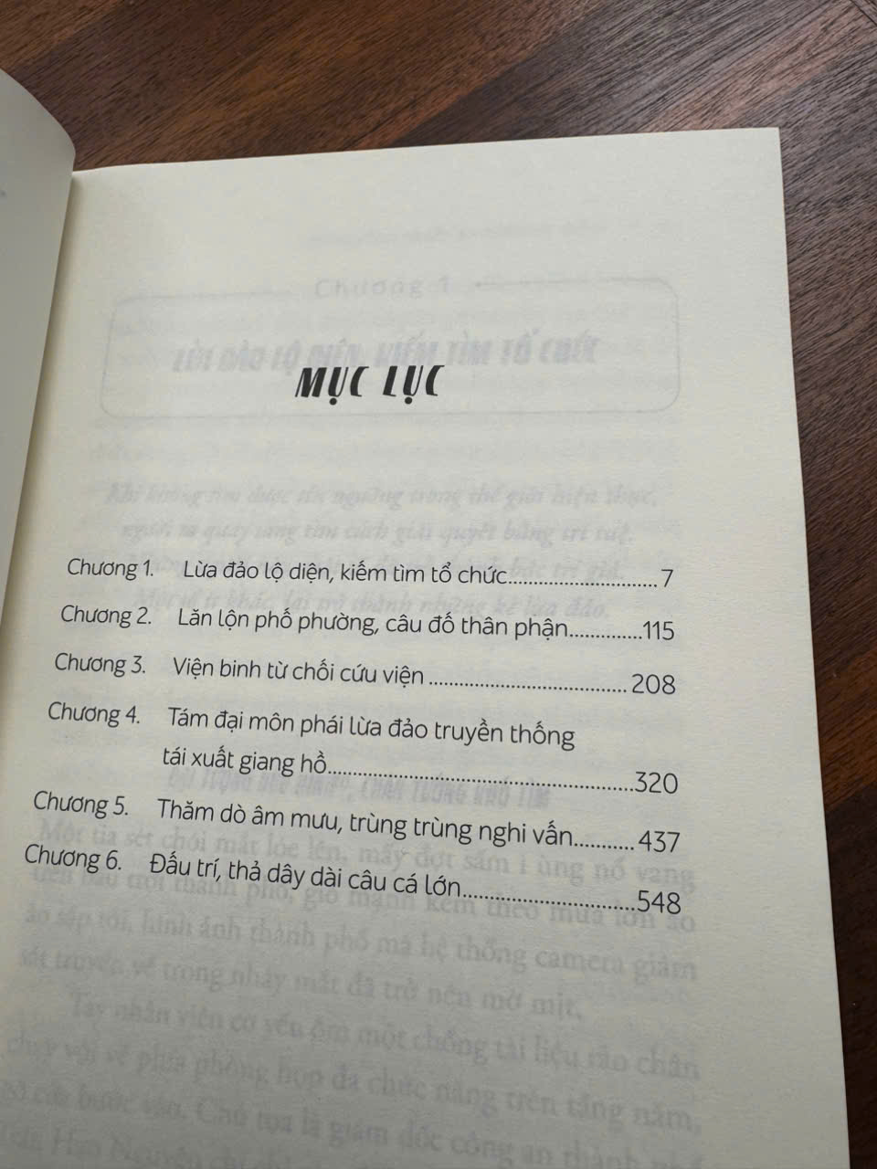 ĐẶC NHIỆM CHỐNG LỪA ĐẢO – Thường Thư Hân – Lục Hương dịch – NXB Hà Nội – Nhã Nam