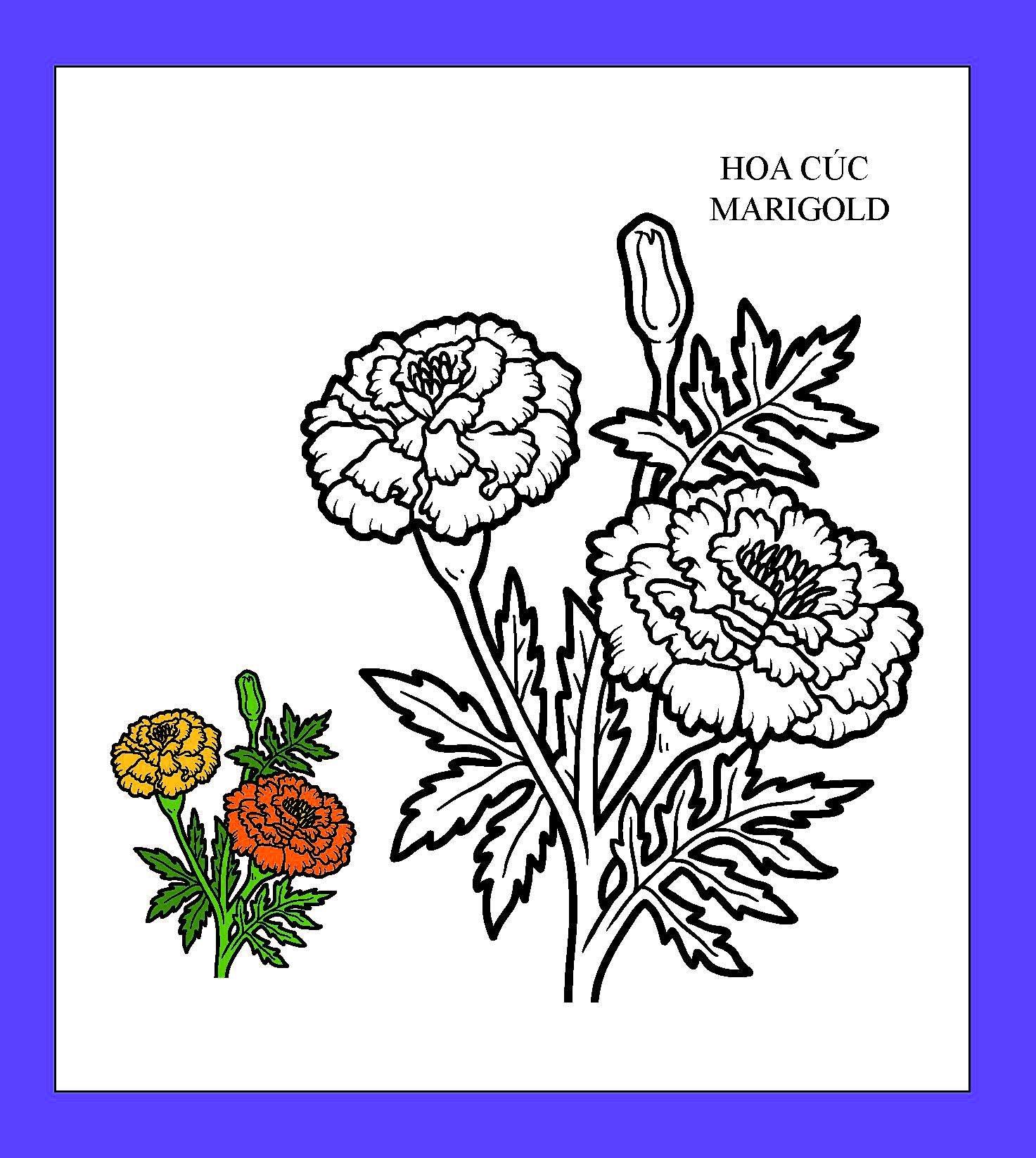 Họa Sĩ Nhí Tô Màu - Hoa