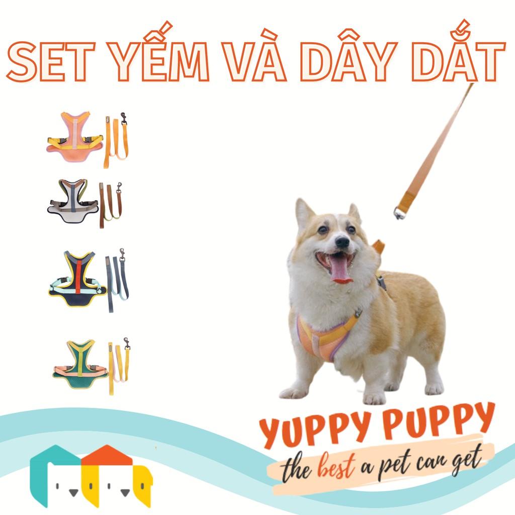 Tuff Hound Set Yếm vest và dây dắt cho cún/ Thú cưng