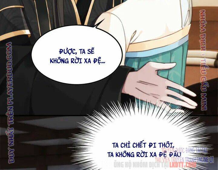 trọng sinh bá sủng nhiếp chính vương quá mạnh mẽ chapter 210 61