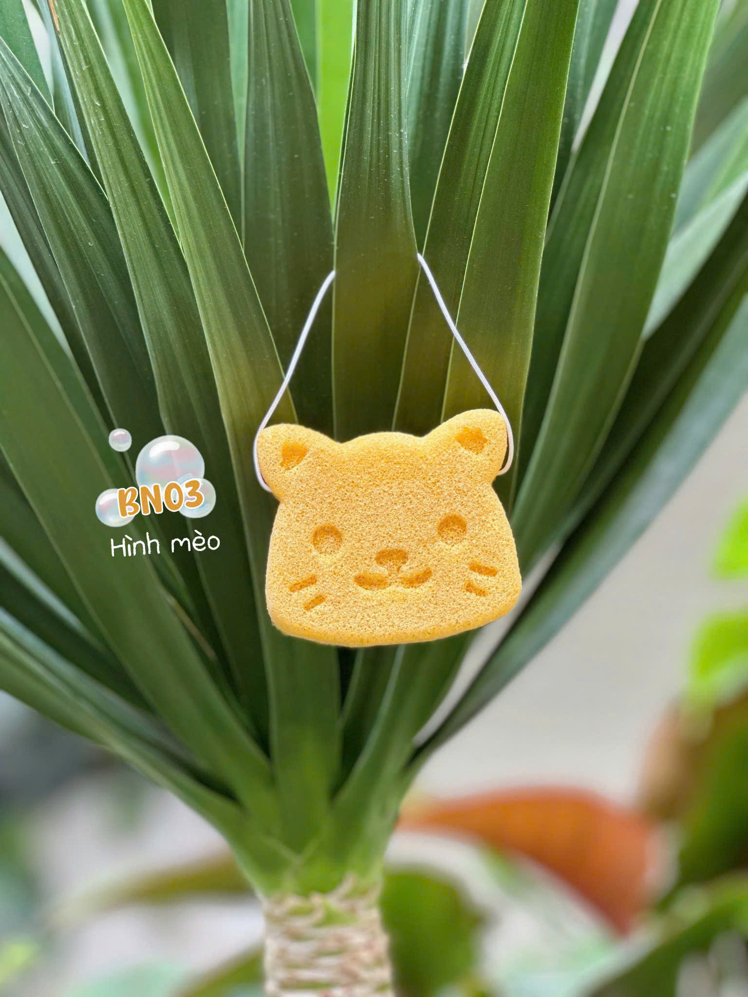Bông Rửa Mặt Sợi KonJac Lành Tính VACOSI BN02/03/04 Gồm 3 Hình Dáng - VACOSI Konjac Cleansing Sponge