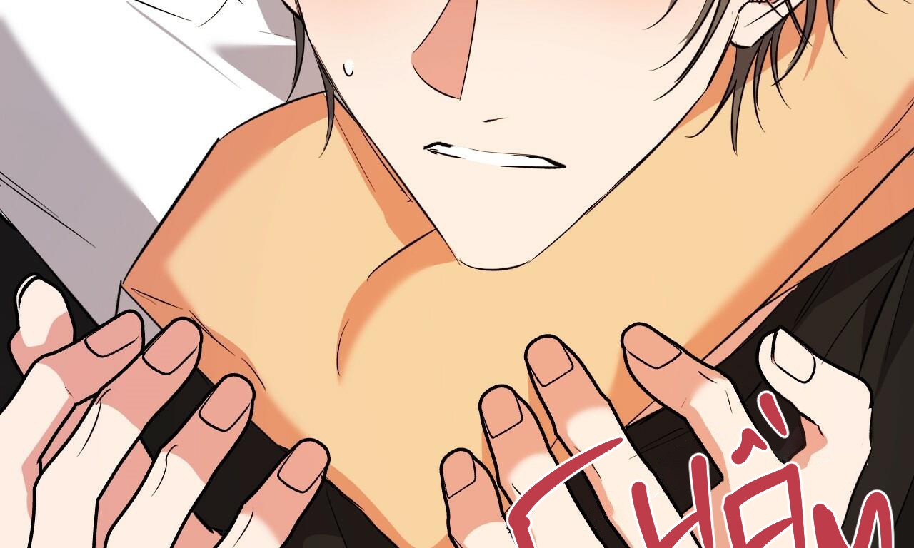 những chú thỏ của hapypy chapter 53 93