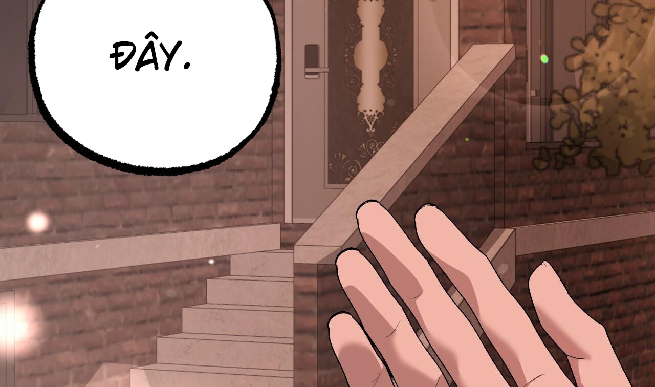 những chú thỏ của hapypy chapter 51 227