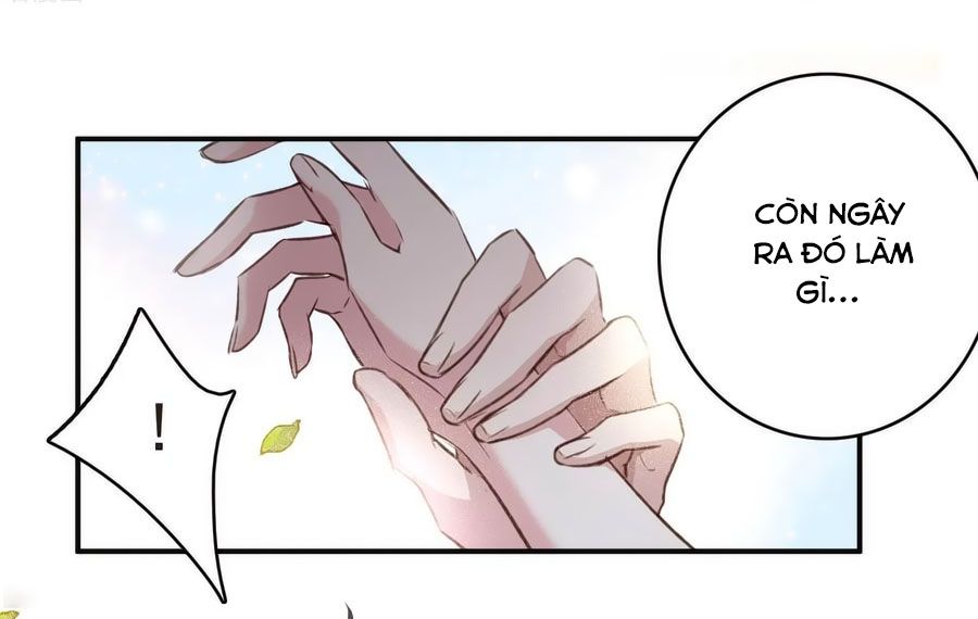 Cuốn Sách Vận Mệnh Của Tôi chapter 54 - Trang 23