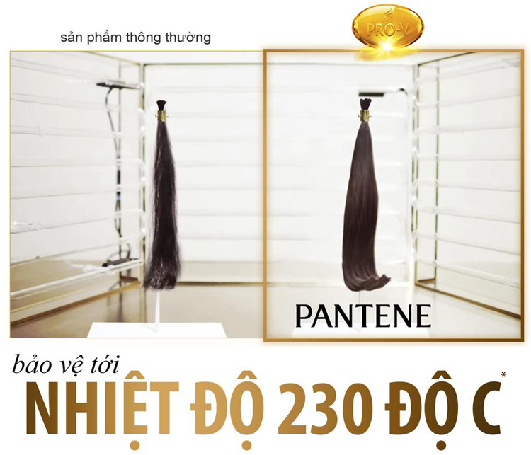 Dầu Gội Pantene Nhật Bản Chăm Sóc Hư Tổn Chuyên Sâu (450ml)