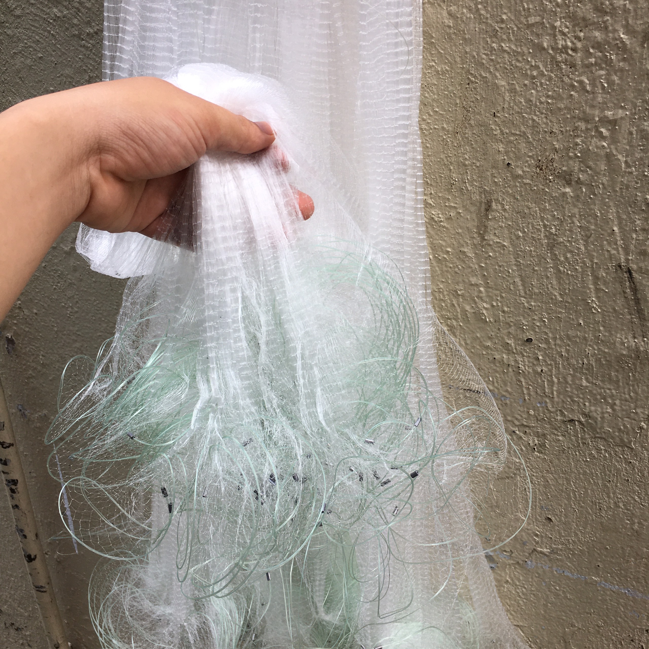 Lưới đánh cá lòng Tong, các loại cá nhỏ