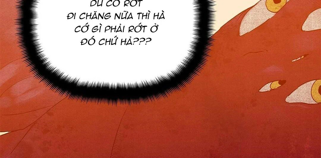 guide cấp b chapter 26 162