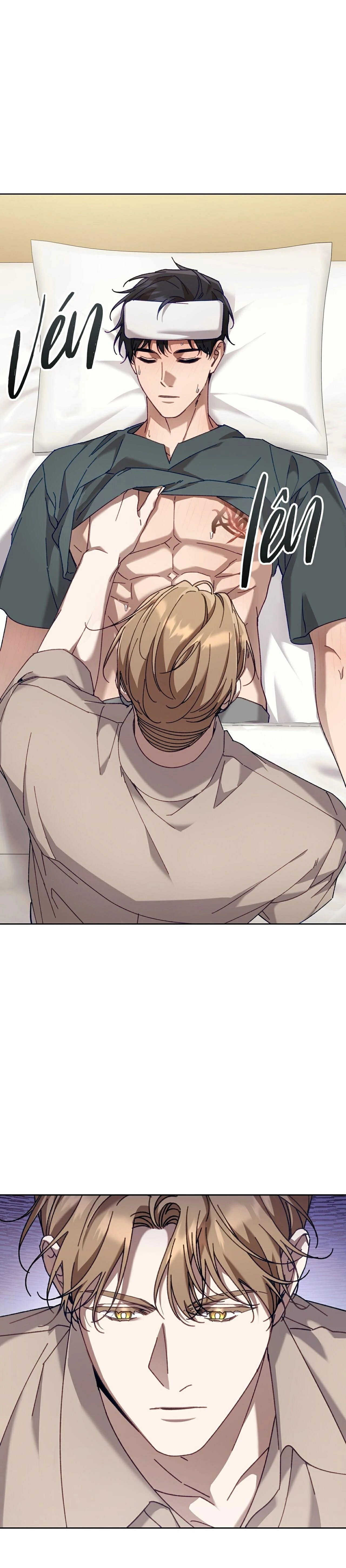 guide cấp s phết mật ong chapter 40 24