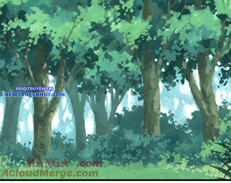 từ dã quái bắt đầu thăng cấp chapter 77 42