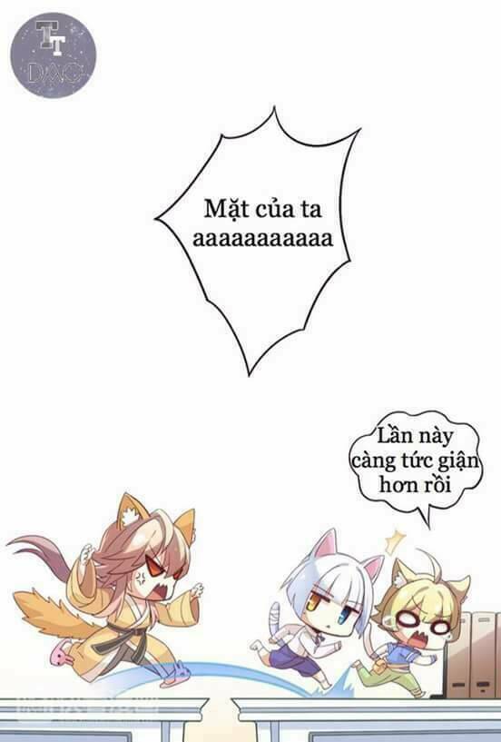 dưới móng vuốt mèo chapter 1 17