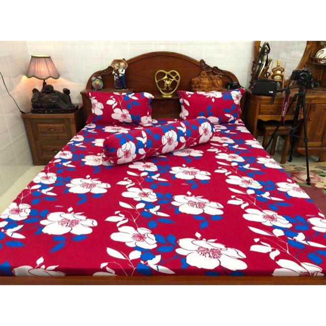 Drap thun hàn quốc