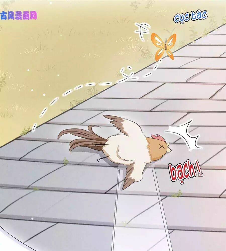 hoàng tử phu quân, ta nuôi ngươi a! chapter 17 40