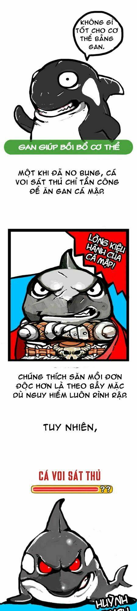 earth, human, and animal chapter 8 13