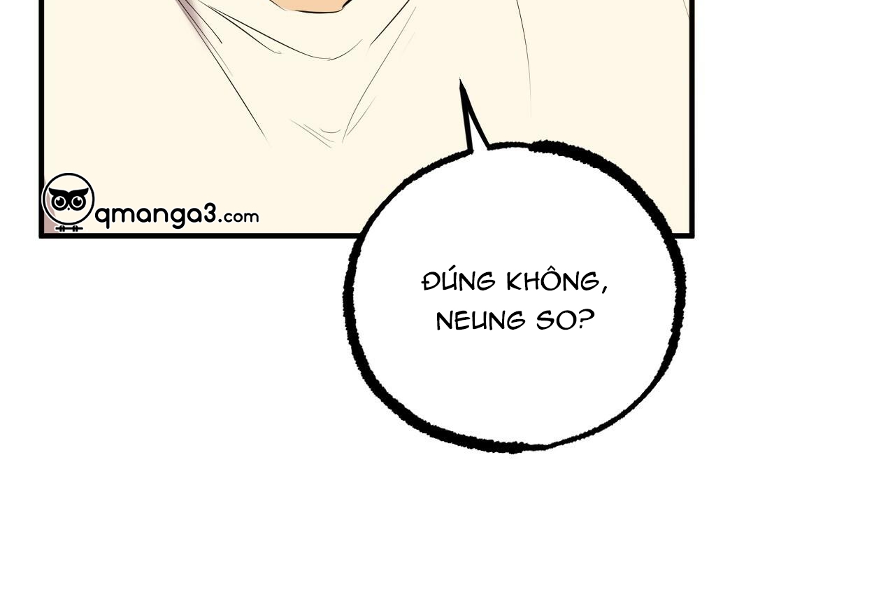 đàn thỏ của habibi chapter 32 14