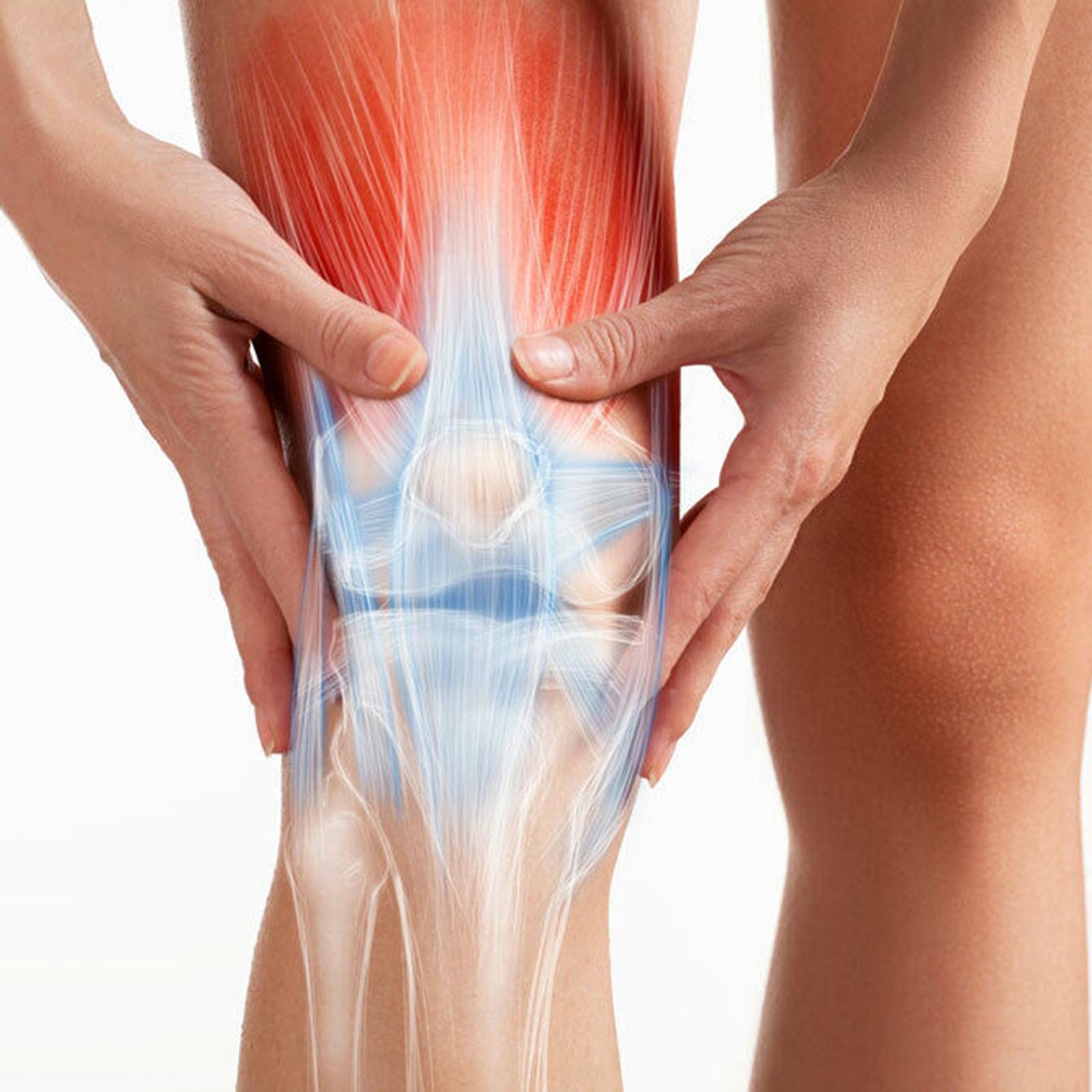 Knee Brace Support Sports Kneecap Protector Compression Sleeve Joint Injury