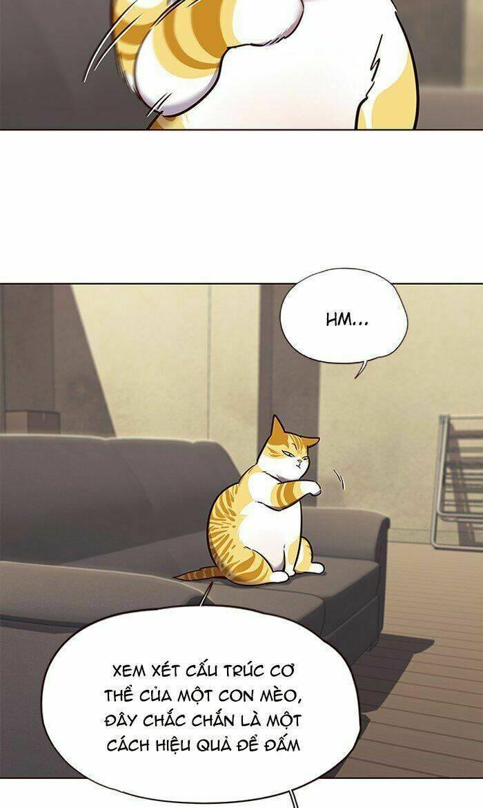 biến thân thành mèo chapter 65 68