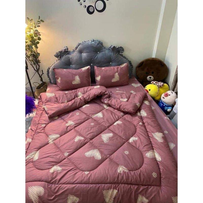 Bộ chăn phao 5 món cottonpoly