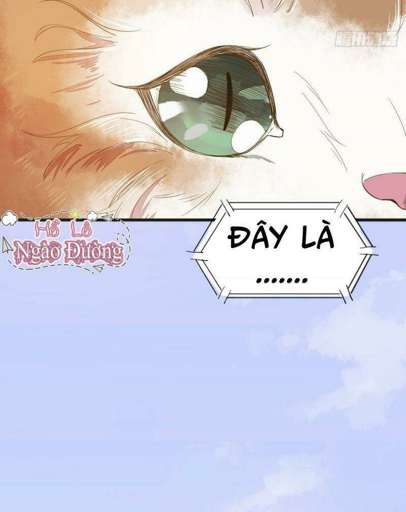 sát thủ vương phi không dễ chọc chapter 32 4