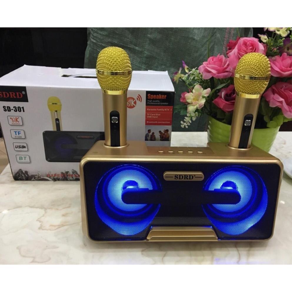 Loa Karaoke SD 301/309 Kèm 2 Micro Không Dây tích hợp bluetooth 4.0 - usb - thẻ nhớ