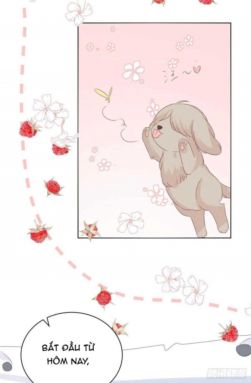 đoàn sủng lão đại ba tuổi rưỡi chapter 141 18