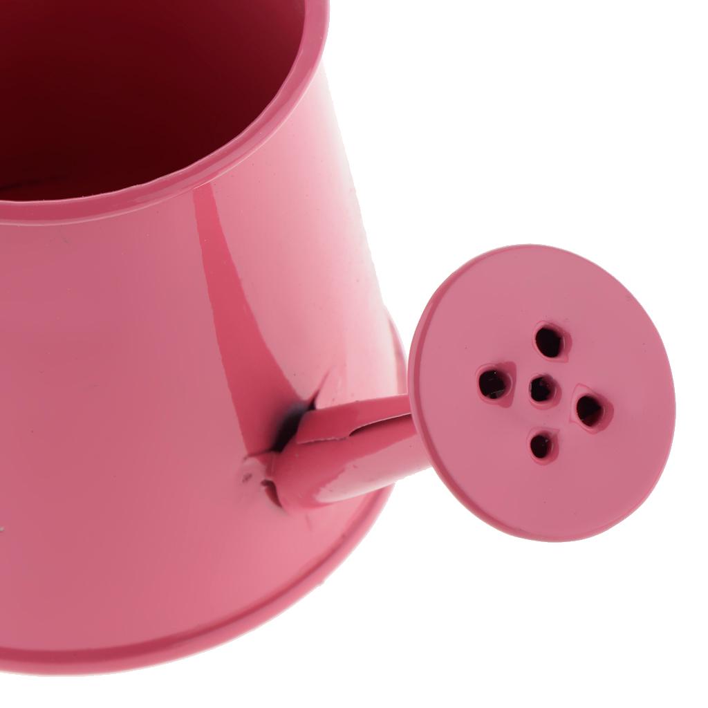 Pastoral Style Colorful Tin Flower Pot Mini Bonsai Watering Can Pot