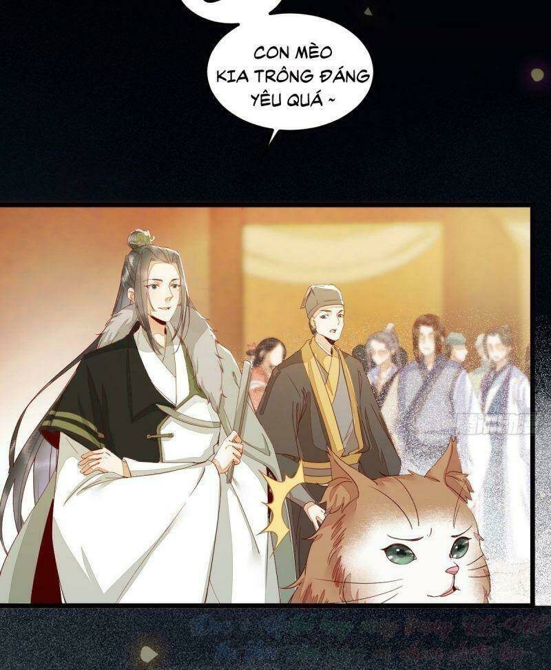 sát thủ vương phi không dễ chọc chapter 44 48