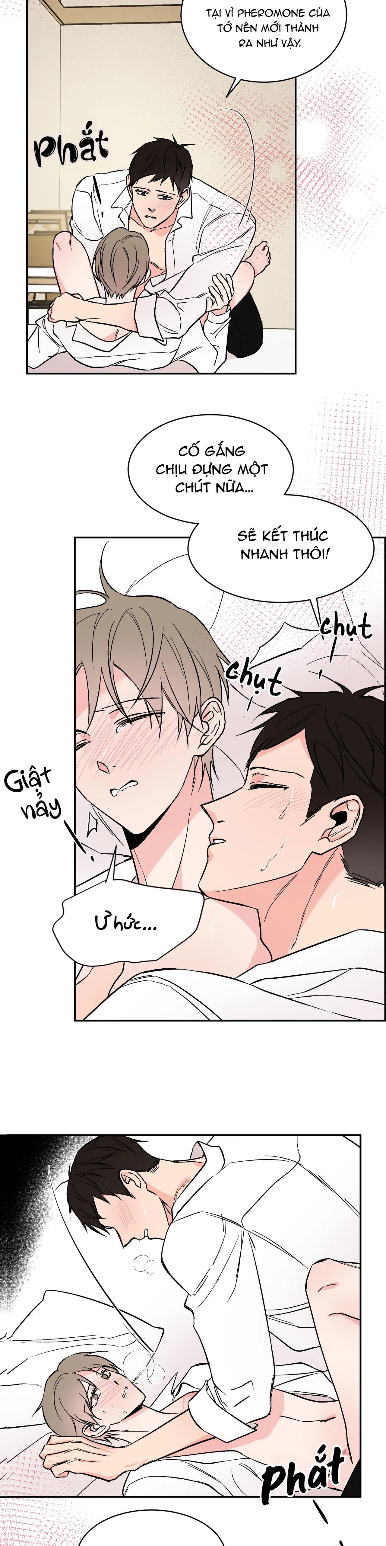 đảo ngược chapter 12 13