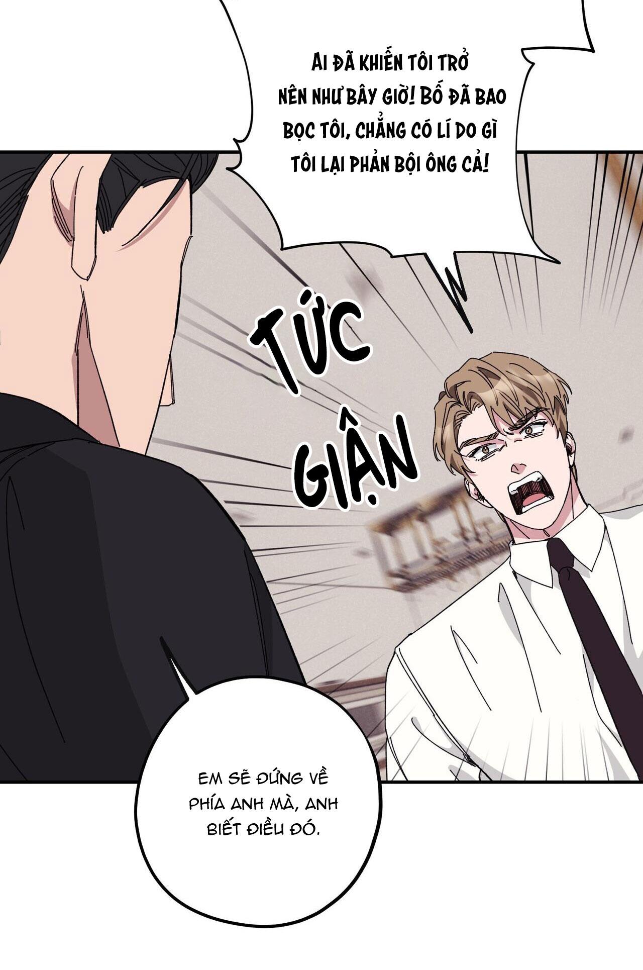 làm dâu nhà tài phiệt họ kang chapter 33 51