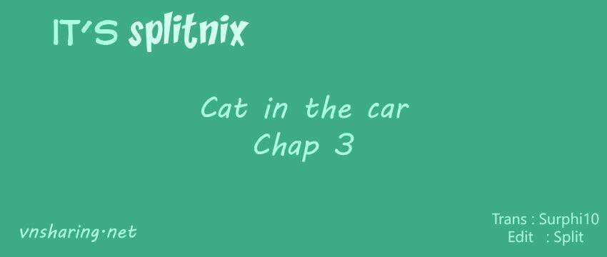 cat in the car chapter 3 1