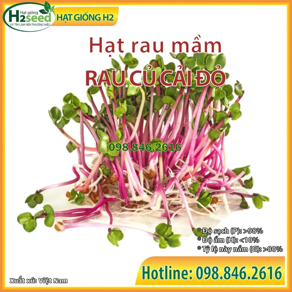 3 gói Hạt rau mầm rau củ cải đỏ