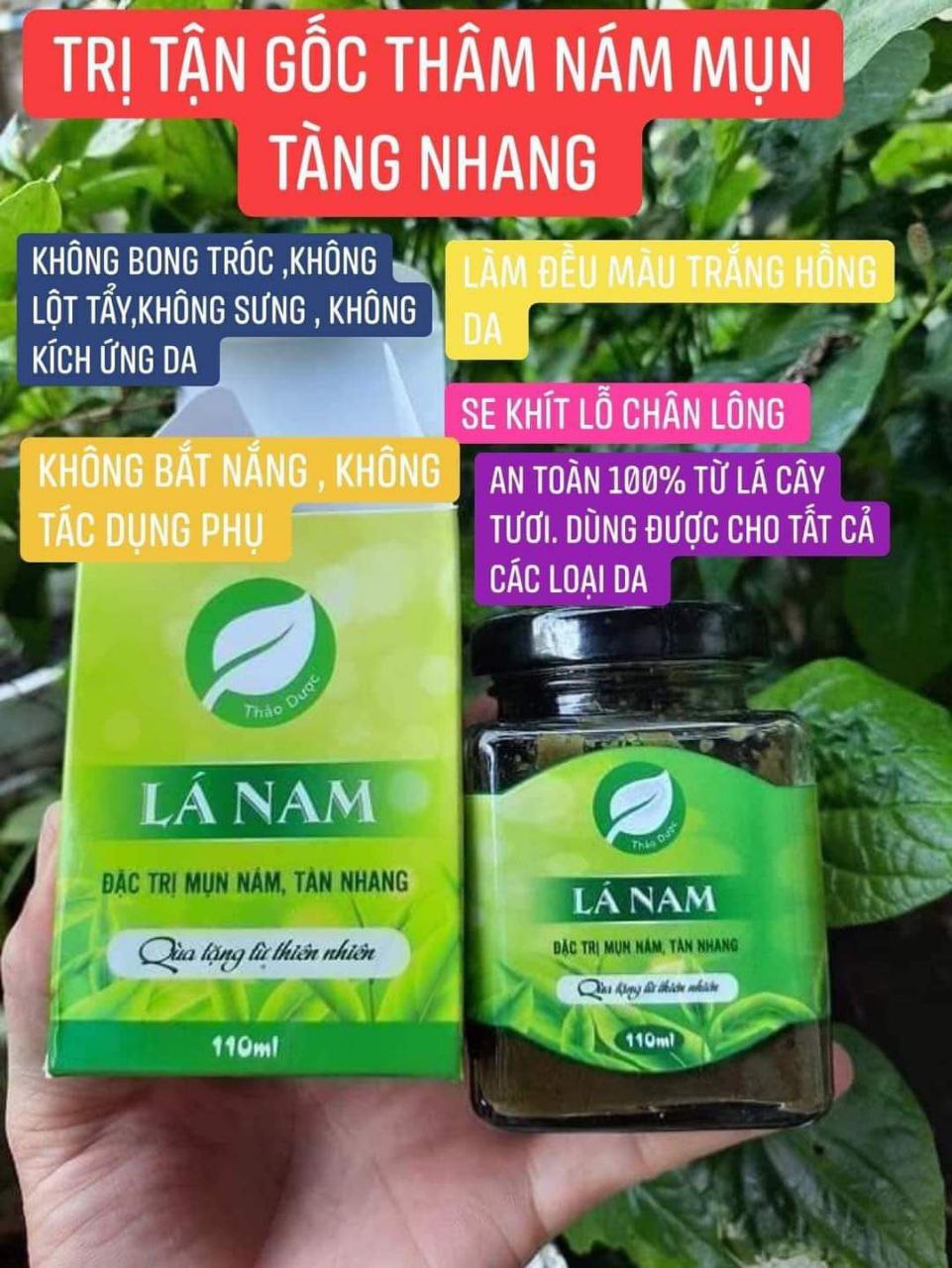 Lá Cây Nam