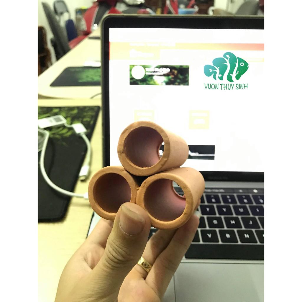 Hang trú ẩn 3 lỗ cho tép, pleco
