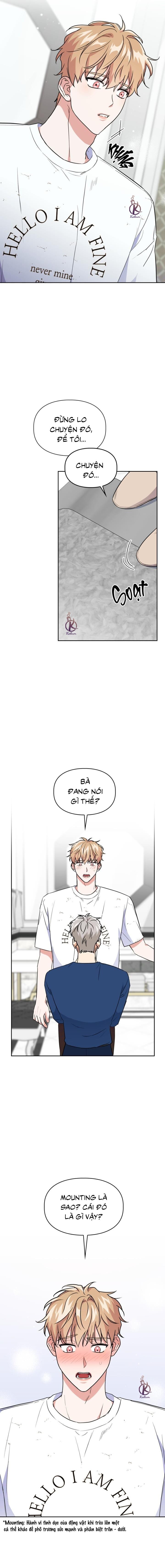 mồi nhử chapter 60 10