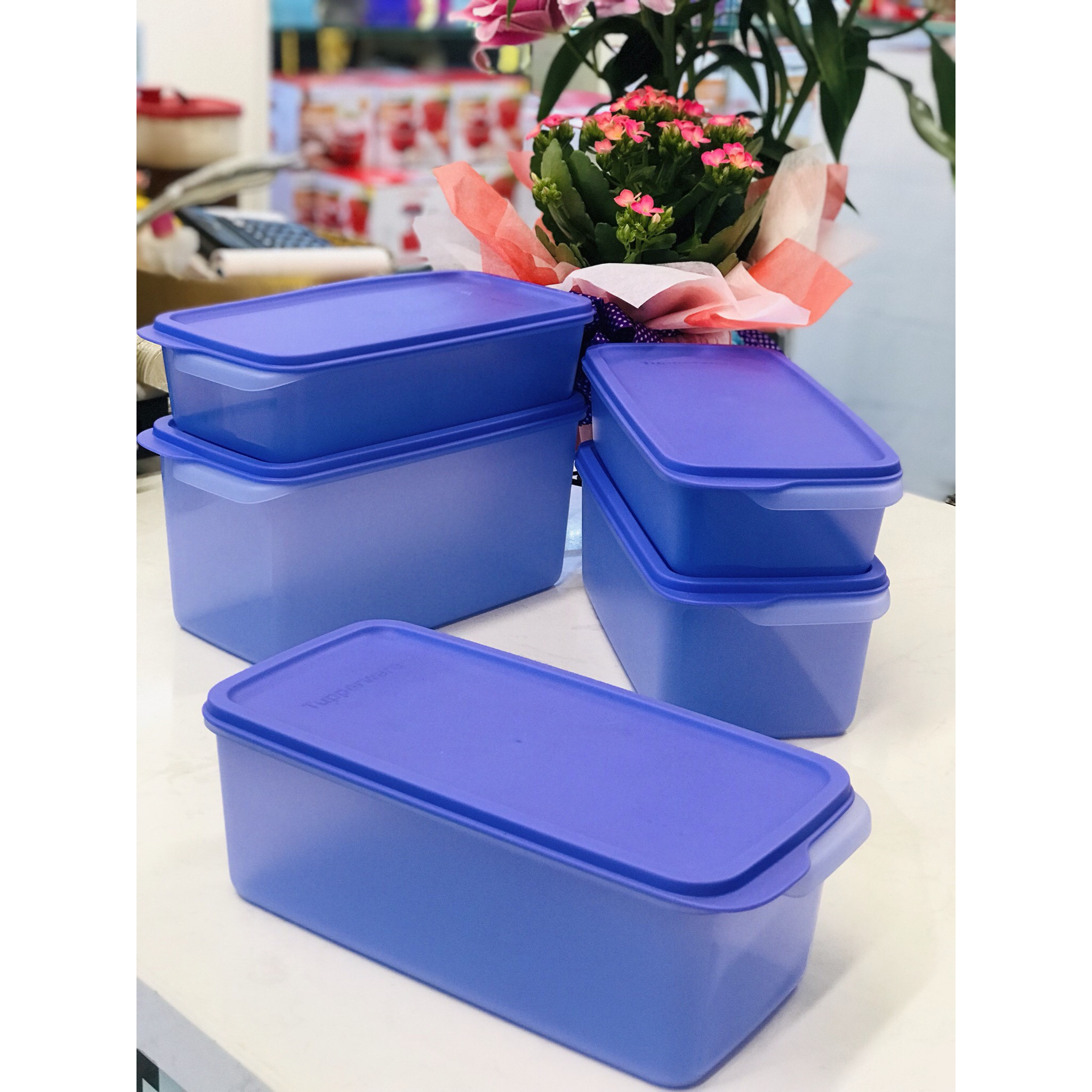 BỘ 5 HỘP BẢO QUANR THỰC PHẨM NGĂN MÁT TUPPERWARE