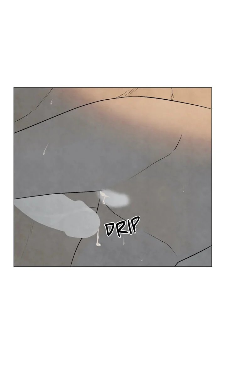 summer solstice point chapter 53 47