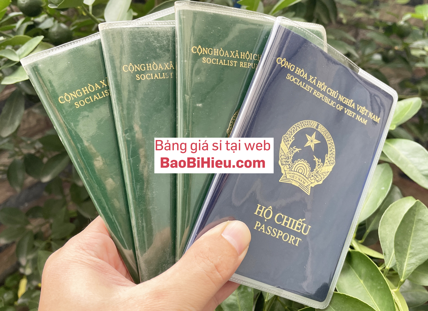 Vỏ bao hộ chiếu (passport) dẻo trong có khe đựng vé máy bay và các thoại thẻ hiệu bamarau B132