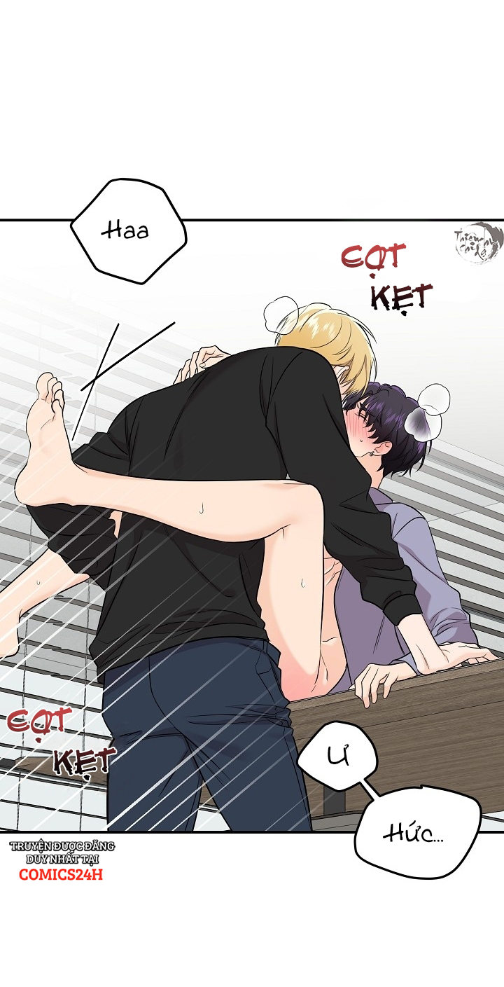 hoa ly hổ chapter 32 27